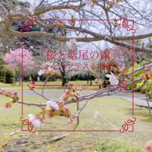 キャンペーン画像