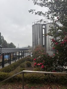 あけましておめでとうございます